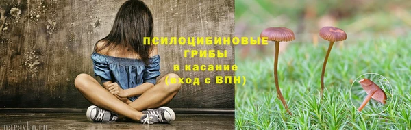 мет Богданович